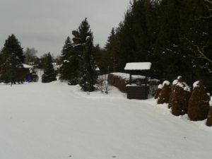 020-snehova-kalamita-2017