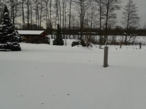 022-snehova-kalamita-2017